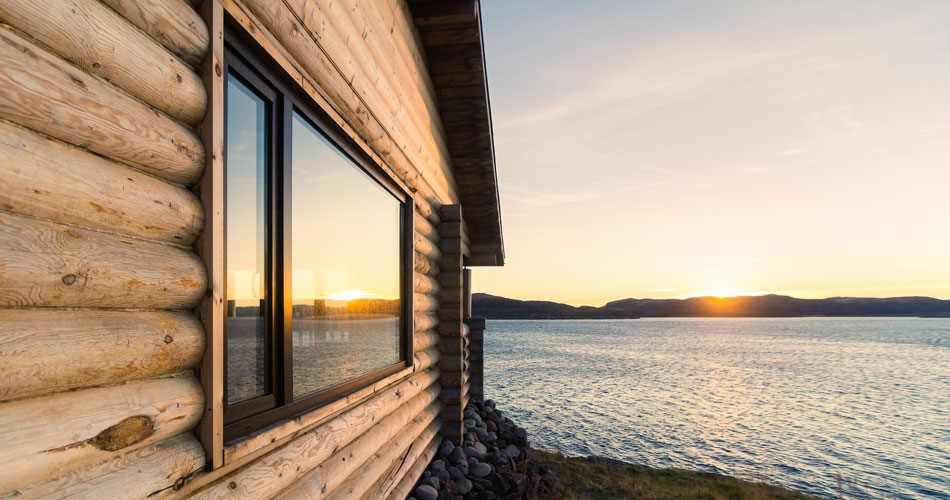 Log and lake Inspection